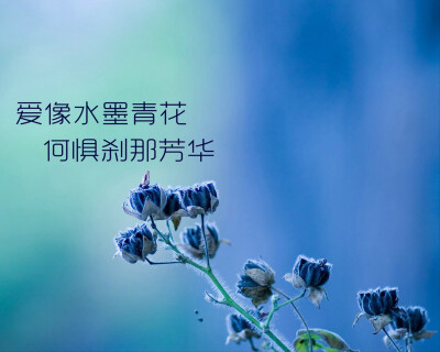 爱就像墨水和蓝色，为什么不怕它
