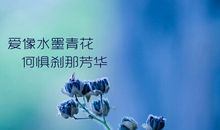 爱如水墨青花，何惧刹那芳华