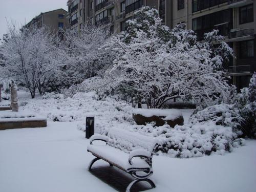 雪景