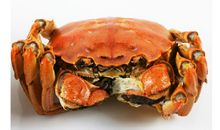 爸爸秀绝技——烧蟹