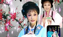 我的知音—外公