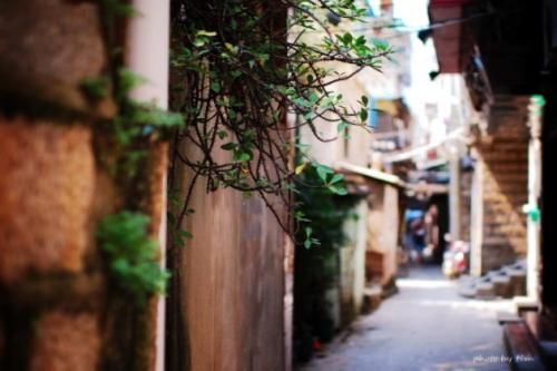 美丽永远在巷子里
