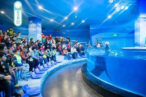 难忘的海洋公园之旅