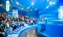 难忘的海洋公园之行