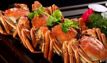 螃蟹之间的较量