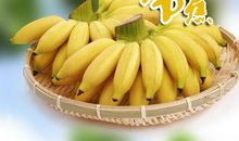 给海南蕉农的一封信