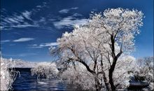 人生在世生无所息