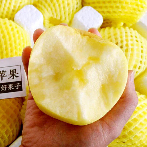 “垃圾”爷爷金心