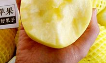 “垃圾”爷爷金子心