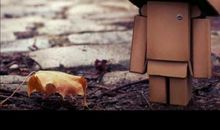 假如能留住这一切