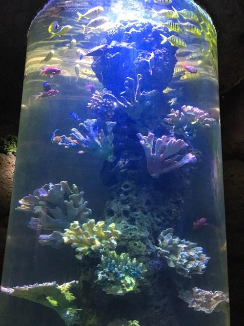 游览南昌海洋公园