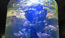 游南昌海洋公园