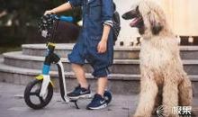 滑板使我着了迷