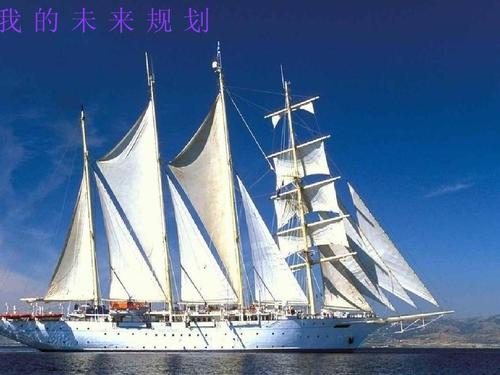 我目前和将来的计划
