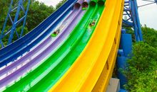 游广州长隆动物园