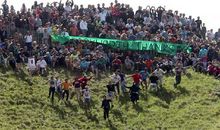 追赶幸福的小蚯蚓