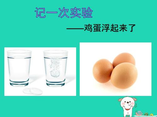 蛋浮的启示