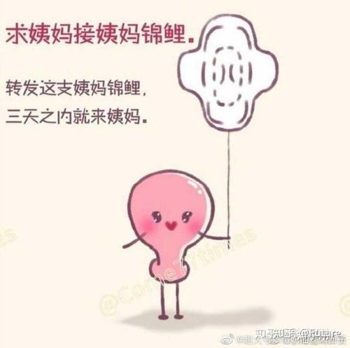 我不会再拖延了