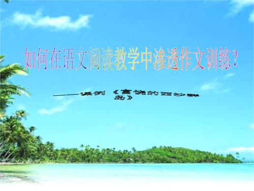 美丽的西沙群岛