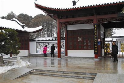 我家门前的梅园