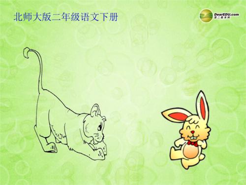 无脑的小白兔