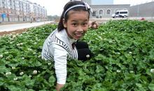 这次我真没想到