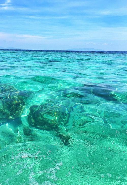 流浪的海