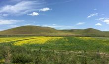 一路逆风一路成长