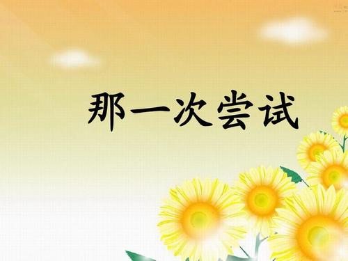 那是一个愚蠢的尝试