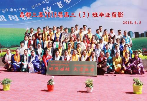 格桑花绽放民族情调