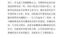 大自然的启示作文