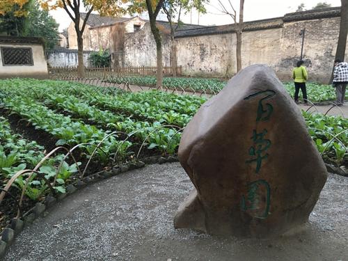 百草园游记