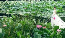 我爱家乡的荷花池