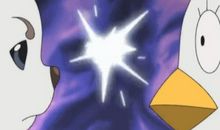 家里来了一只“萌物”