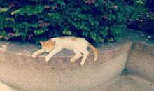 夏天里的一场雨