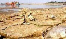 不可思议的一幕