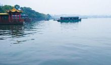 我要为西湖小鸳鸯代言