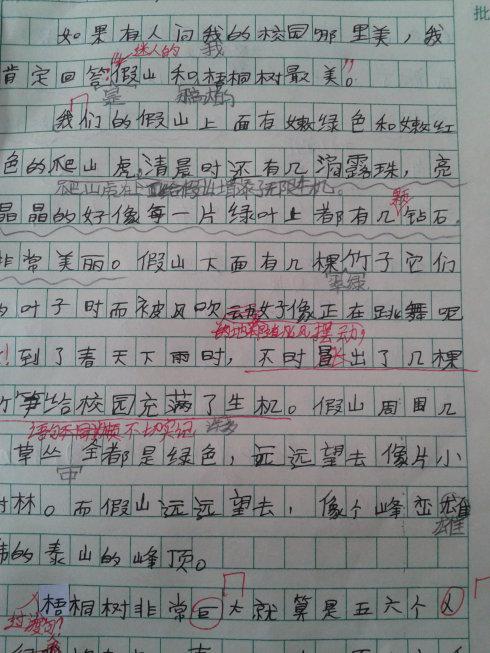 迷人的校园作文400字