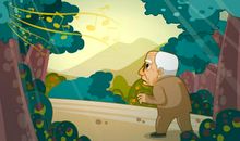 我和麻雀之间的故事