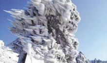 美丽的华顶山雾凇