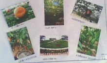 我看改革开放三十年