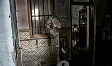 根深蒂固的记忆