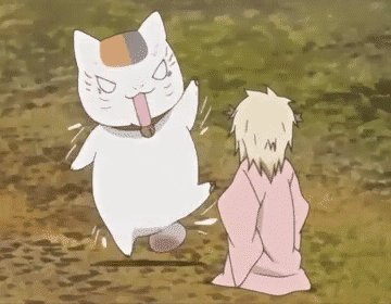 老师的猫