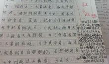 以情为主题写一篇作文