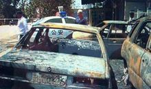 老鼠“袭击案”