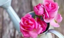 诗词触动我的心灵