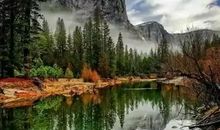 伤痛人生路上的风景线