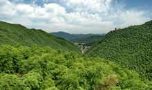 中国竹乡的奇妙之旅