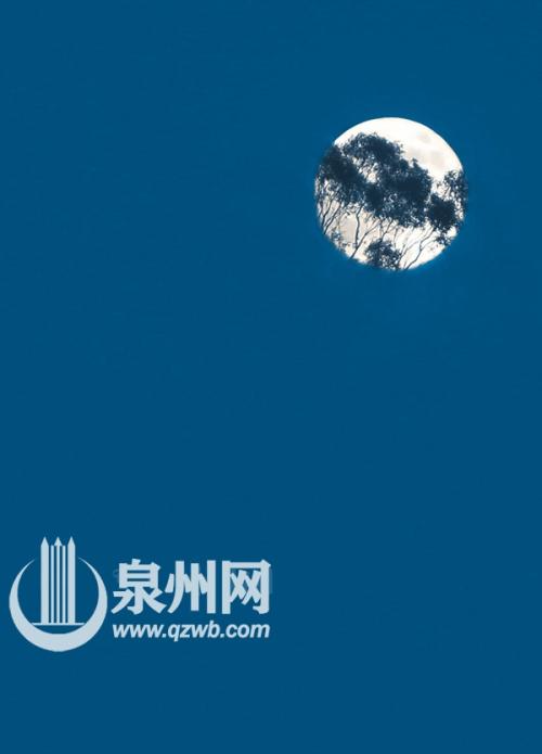 满月台风之夜