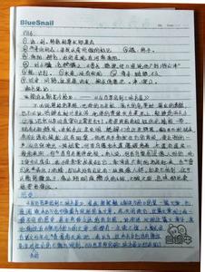 湘子骆驼读了200个字之后的想法
